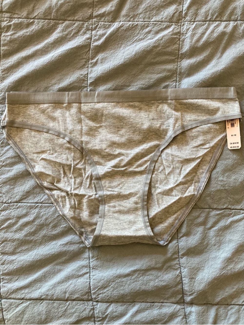 NWT Victoria’s Secret Gray Bikini Panties Size M